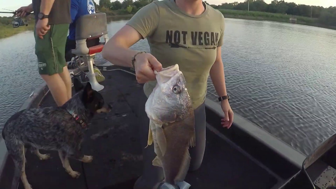 Summer crappie fishing YouTube