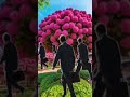 https://belagisas.shop/#LUCIANOMINEIROESEUSVIDEOSNOYOUTUBETIKTOKEKWAI E SUA COLETÂN.DE DIVERSIDADES