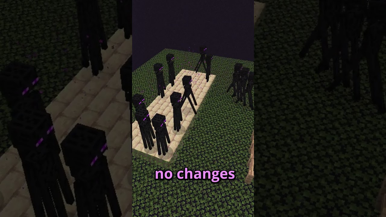 EASY: Stop Enderman in The End Dimension!