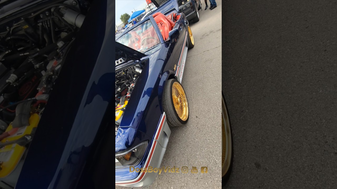 Ford Mustang 5.0 On Spoke Wheels Midwest Fest 8 