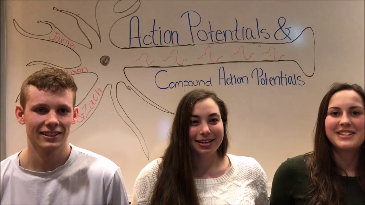 Action Potentials and Compound Action Potentials Lecture