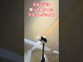 【五七五】天井パテ　買って良かった　フラットボックス　#フラットボックス #drywall #shorts