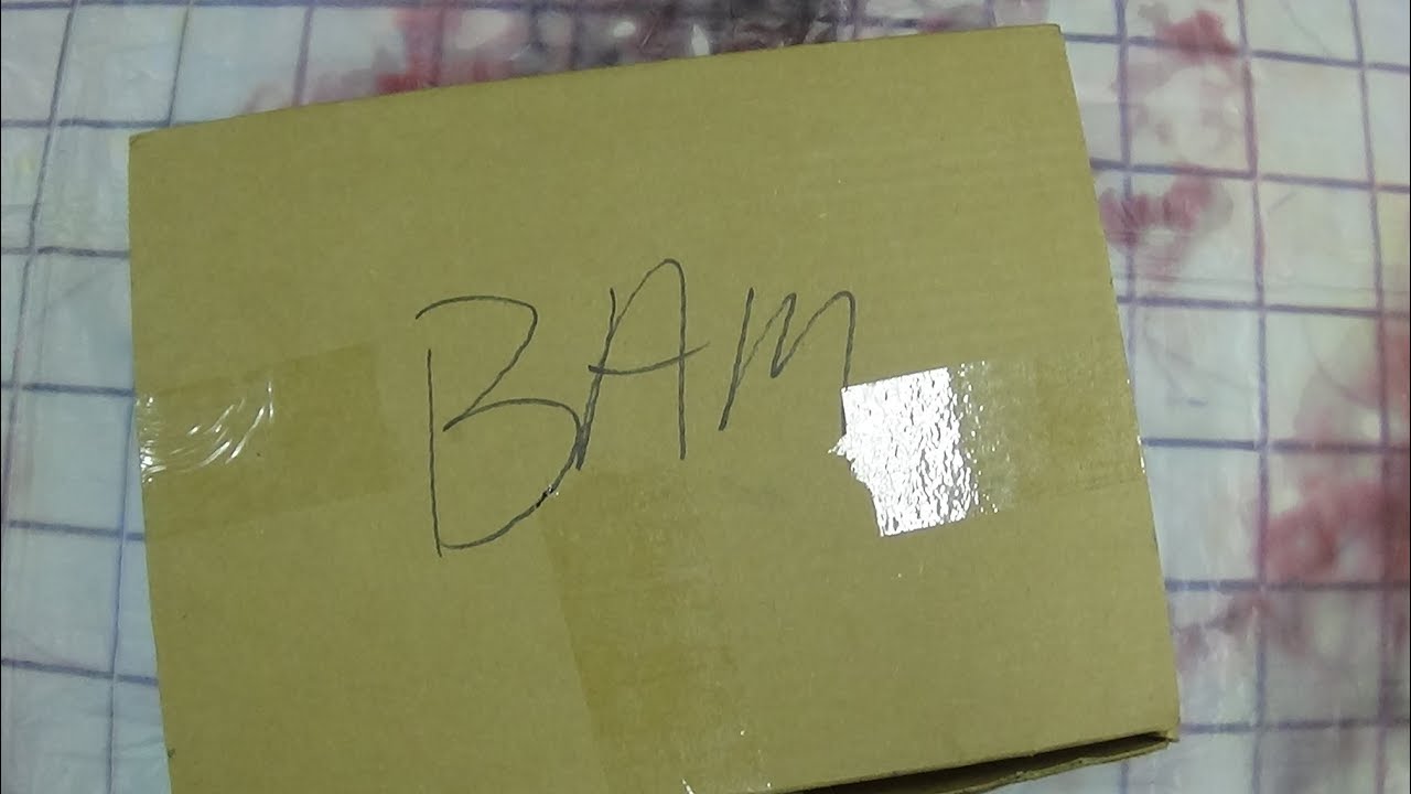 BAM BOX HORROR December 2018: EmGo's Unboxings N' Stuff