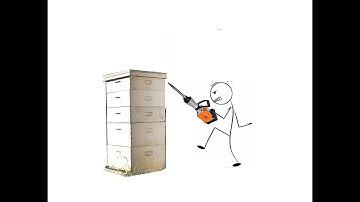 Vertical Beehives and a Crazy Landlord OR Why Natural Beekeepers Use Horizontal Beehives