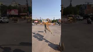 Video vairal trick😱💯#loine #lion #animals #animalmemes #tranding #shorts