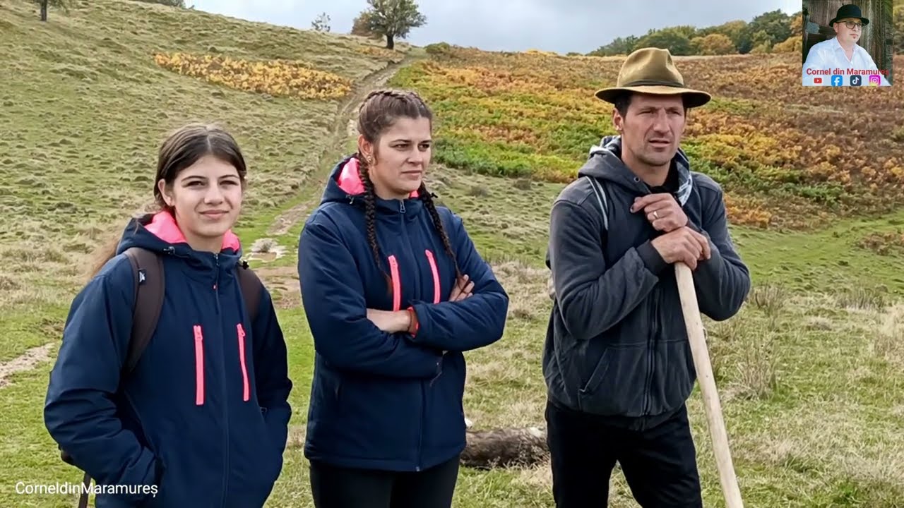 Овцы Думи Чобэницы, к которым каждую ночь приходит волчица с двумя детенышами в Марамуреше