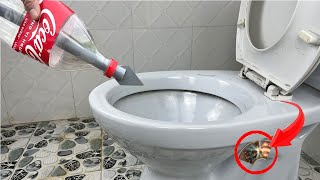 Why do many people become billionaires quickly? 4 super fast ways unclog toilet that you don't know