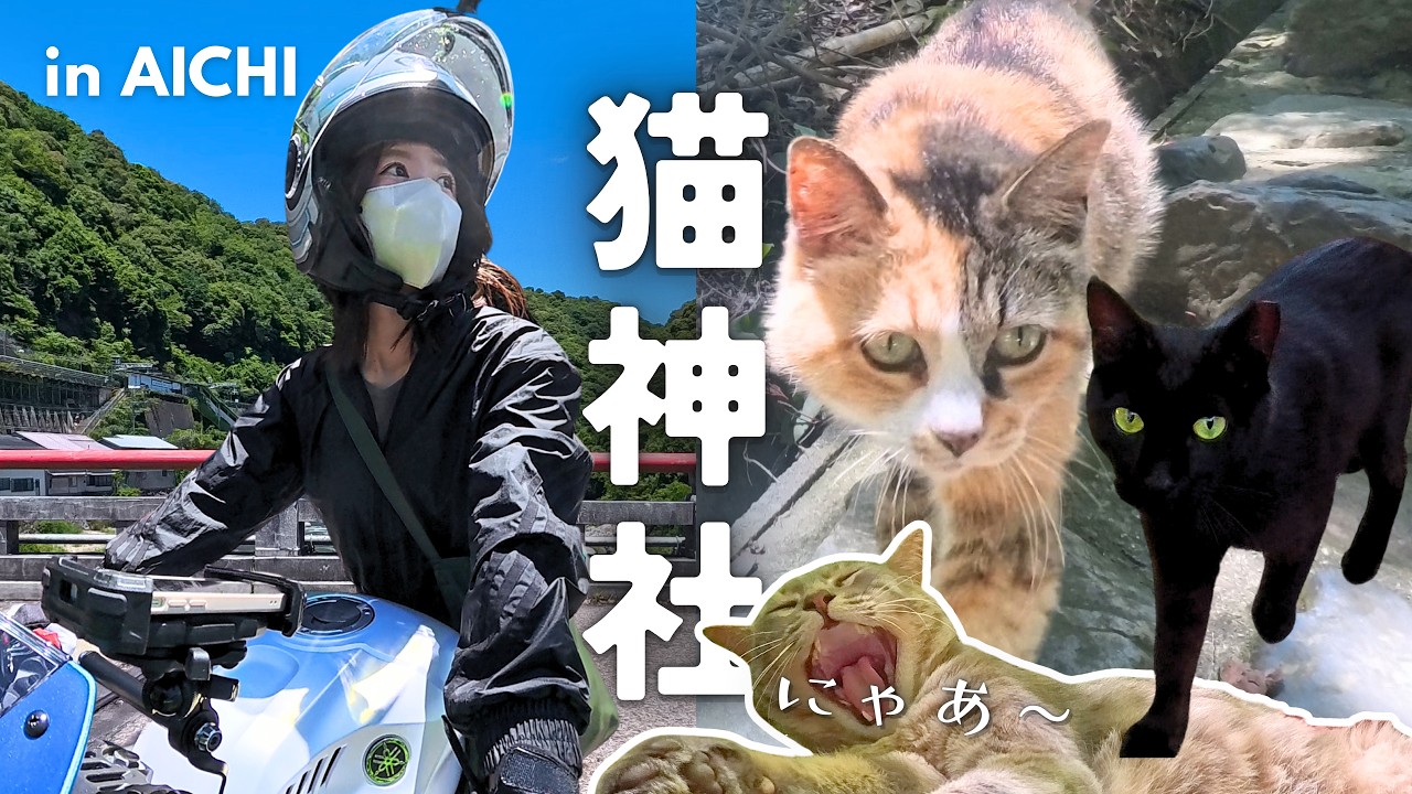 猫兎 Solo Ride to Japan's Hidden Cat Shrine 🐈‍⬛ Cozy YZF-R25 MotoVlog