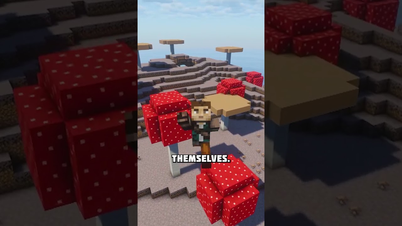 Грибы вырастают из ничего 