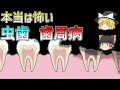 【ゆっくり解説】虫歯や歯周病はなぜ発生するの？本当は恐ろしい病気である２つを効果的に防ぐ方法
