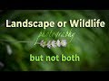 Landscape or Wildlife Photography but Not Both