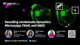 Decoding Condensate Dynamics Microscopy Frap And Xpcs  Webinar