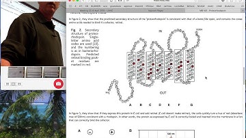 Beja et al - Proteorhodopsin paper