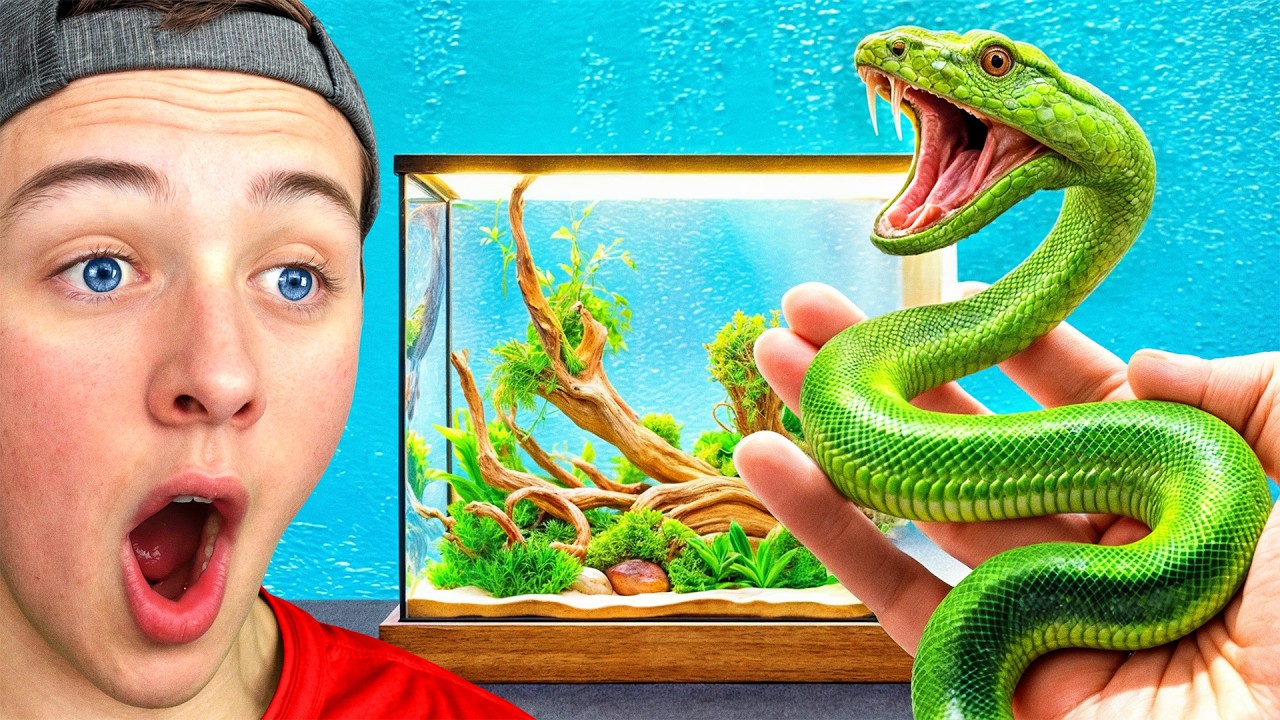 He Transformed a HOMELESS Snake's Enclosure - YouTube