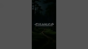 سورة النمل/ القارئ اشرف امام