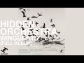 Hidden Orchestra - Wingbeats (Full Album)