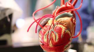 Pre-Health Science (Windsor)