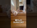 èµ€ã¡ããåç«ã®å
åŒå
šå¡ãéæ®µã®äžã§å¯ãŠããŸãã...ããããšããã#Shorts