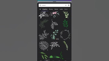 Aesthetic Canva Elements You Should Know PART 1 #Canva #aesthetic #canvahacks #canvakeywords