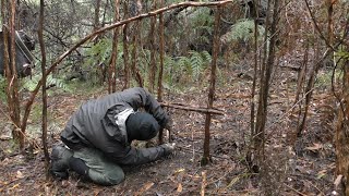 Survival Trapping Ep1.Australian Bushcraft Survival.