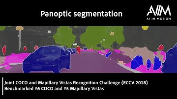 Panoptic Segmentation AIIM & TU/e