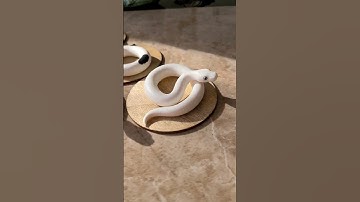 Ball python figurines #ballpython #ballpythons #snake #polymerclay #resincasting