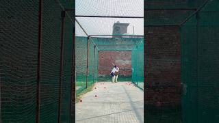 Pull Cut Shot Practice Batting #cricketlover #batting #drill #cricketfans #bcci #india #passion