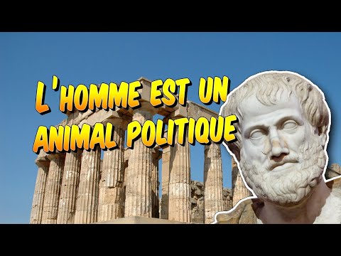Philosophie - Aristote « L&rsquo;homme est un animal politique » explication de citation