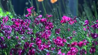 Remix Балдава Do Azazaz Config