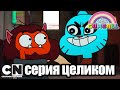 Гамбола | Афера + Неловкость (серия целиком) | Cartoon Network