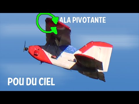 Pou du ciel, pulga del aire, flying flea. |Cuervo RC|