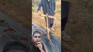 Making Hole With Hot Pot For Planting