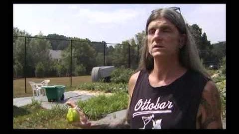 Scott Wino