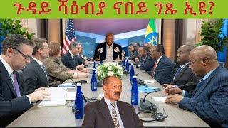 መራሕቲ ኤርትራ ኣብ ሸበድበድ ኣቲዮም ምህላዎም ይንገር ኣሎ