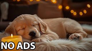 12 Hours Music For Dogs ⭐ Dog Sleep & Dog Healing Melodies For Emotional Comfort And Deep Relaxation