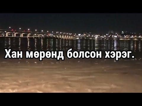 Видео: Бёркийн гар юу болсон бэ?