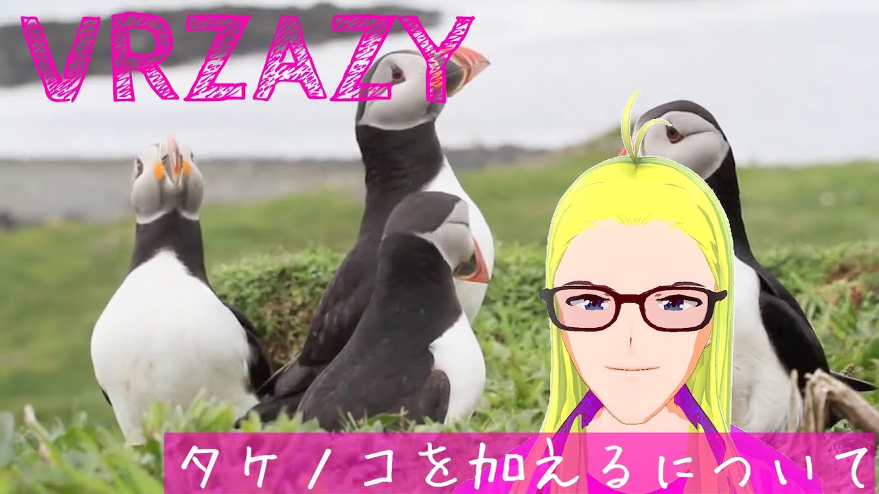 【VRZAZY11】タケノコを加えるについて〈リラクゼーション〉