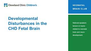 Developmental Disturbances in the CHD Fetal Brain