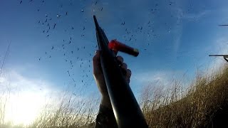 EPIC Goose hunt WITH 4 MAN LIMIT-Kansas 2017 Goose Hunting