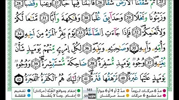 حمزة الجزائري سورة التكوير مكتوبة برواية ورش عن نافع
