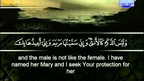 سوره ال عمران ابو بكر الشاطري The Holy Quran Aal Imran 3 14