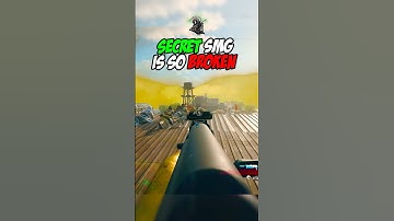 SECRET Minibak Class Is So BROKEN! 😳Class at End! #callofduty #rebirthisland #warzone #warzoneclips