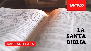 SANTIAGO COMPLETO (DÍA 313) LA SANTA BIBLIA || Audiolibro ||
