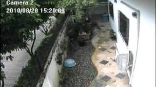 2010_8_28_15_19_30.mpg