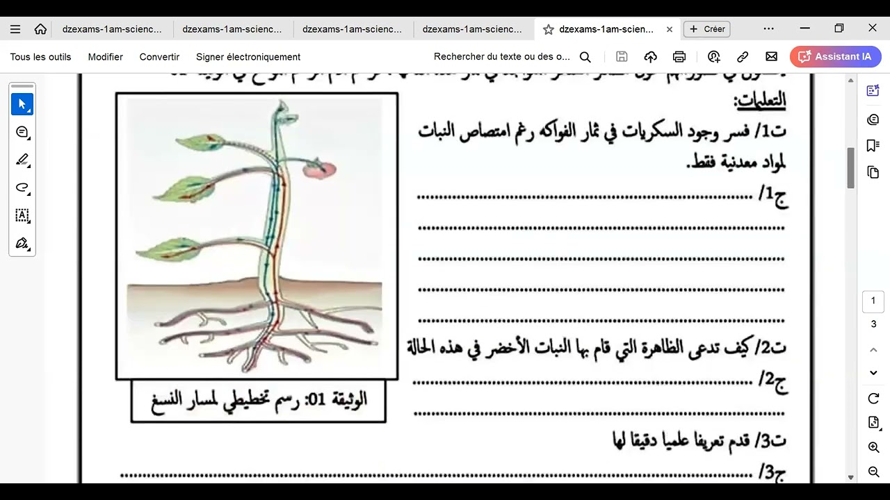 مراجعة فرض الفصل الثاني مع أبطال الأولى متوسط