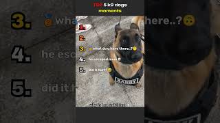 TOP 5 k9 dogs 😎​​🤔​🥰#funny#pets#petsrule #memes#dog #puppy#doglife#doglife#petlife#viral#policedogs