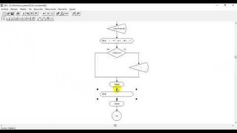 Ciclo Para y Ciclo Mientras DFD