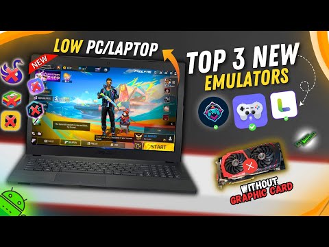 Top 3 New