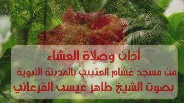 أذان وعشائية هادئة للقارئ طاهر عيسى القرعاني