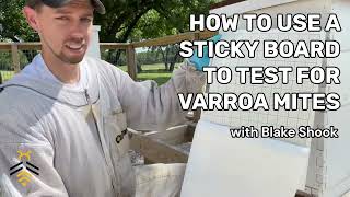 BEEKEEPING under a minute: How to use a sticky board to test for varroa mites with Blake Shook